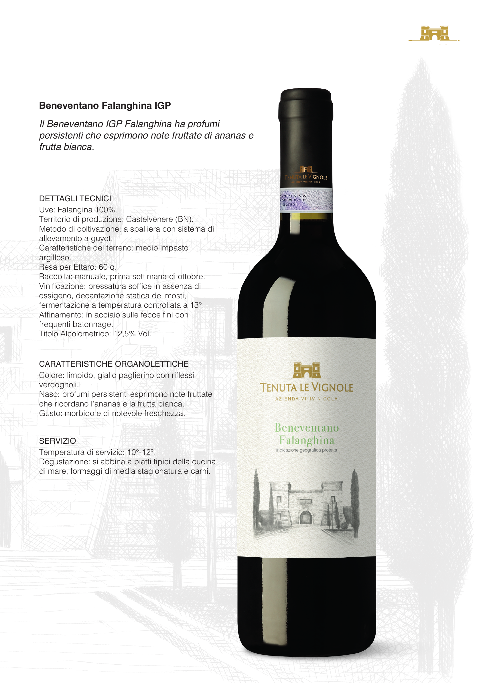 FALANGHINA CAMPANA IGP